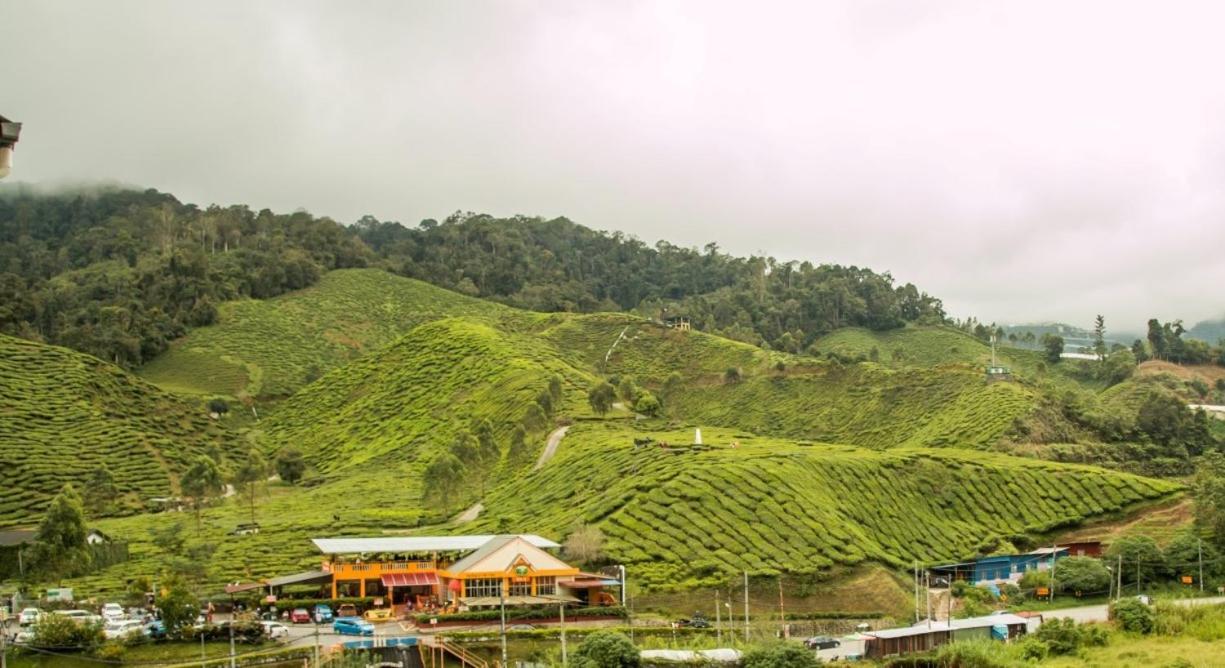 Gorgeous Sunset & Tea Plantation View-Premium Hotel Bed Kampung Kuala Terla Zewnętrze zdjęcie